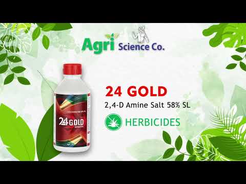 2,4-D Amine Salt 58% Sl Herbicide