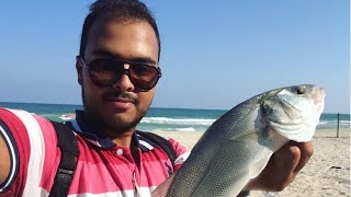 preview picture of video 'صيد الاسماك بالاسكندرية Fishing in Alexandria (surfcasting)'