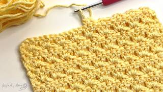 Learn This Beautiful Stitch in 8 Minutes 🌸