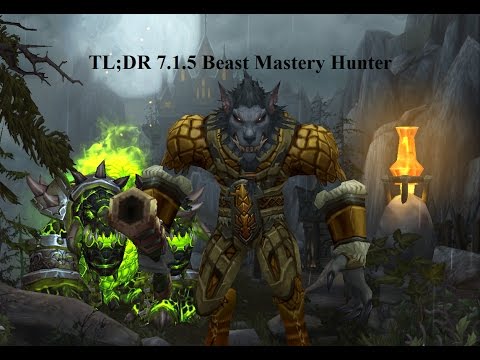 TL;DR Beast Mastery Hunter guide for beginners 7.2 / 7.1.5