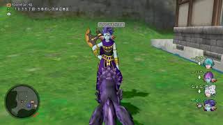 ドラクエ10/ver8/るいサブ/新職業宝珠収集や色々