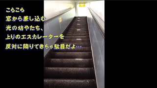 雨雲がちょっとだけ途切れてお日様が顔を出しました