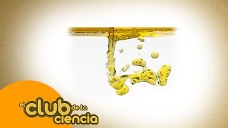 EL CLUB DE LA CIENCIA | Capítulo 02 - Pesos pesados