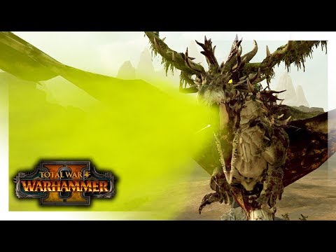 Wood Elves vs Chaos - ft.Felkon - HOW TO CAMP GUIDE! - Total War: Warhammer 2 #210