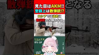 【実銃解説】見た目はAKMなのに登録上は散弾銃!?!"VPO-209"『法的に散弾銃なライフルって??』【EFT:タルコフ】#shorts #eft #銃