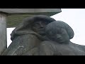 The Bloodiest Battle Of World War 1   The Battle Of Passchendaele   Timeline