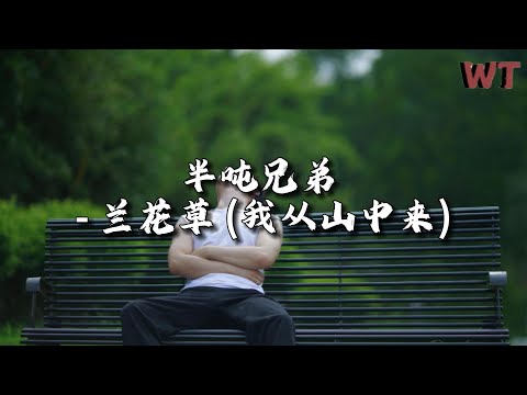 半吨兄弟 - 兰花草(我从山中来)『朝朝频顾惜 夜夜不相忘，期待春花开 能将夙愿偿。』【动态歌词MV】