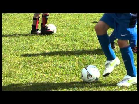 Brazilian Soccer School