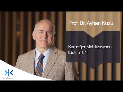 Karaciğer Mobilizasyonu