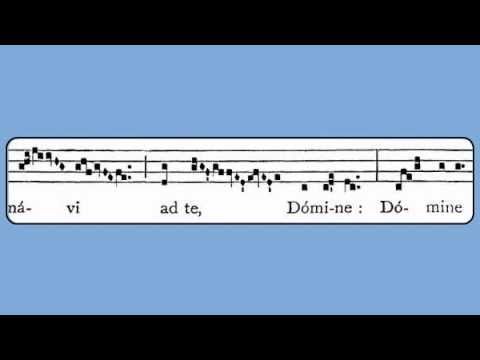 Alleluia: De Profundis (23rd Sunday After Pentecost)