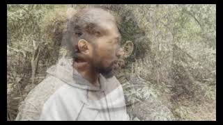 Orchids Have Eyes Music Video