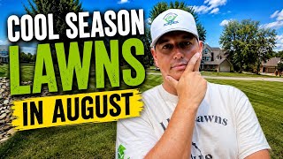 Cool Season Lawncare in August: What You Need to Know About Weeds, Fungus and Fall