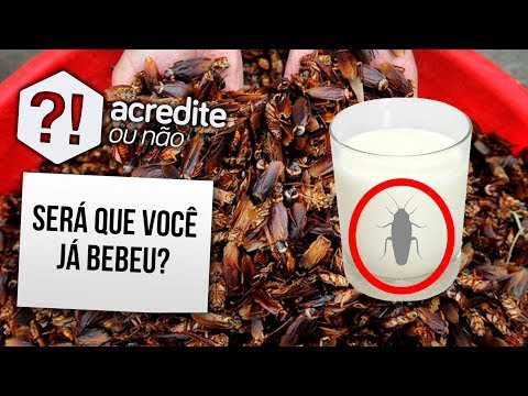 LEITE DE BARATA PODE SER NOSSA SALVAÇÃO?