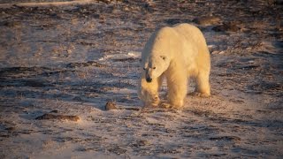 Climate change explained in under 60 seconds