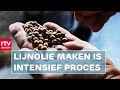 Hoe maak je lijnolie? | Haandwark | RTV Drenthe