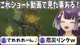 ウツシエ機能でｷｬｯｷｬｯ遊ぶ海妹四葉【ゼルダの伝説 ブレス オブ ザ ワイルド/にじさんじ切り抜き】