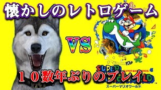 【スーパーファミコン】とっととクッパ倒して寝よう【バーチャルドッグ】