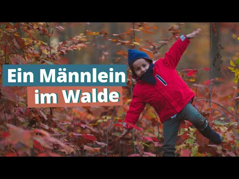 Ein Männlein steht im Walde || Kinderlied