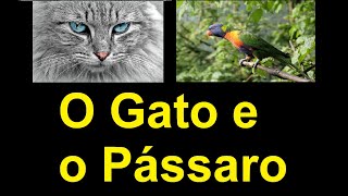 O Gato e o Pssaro