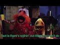 Can You Picture That By Dr Teeth And The Electric Mayhem Lyrics