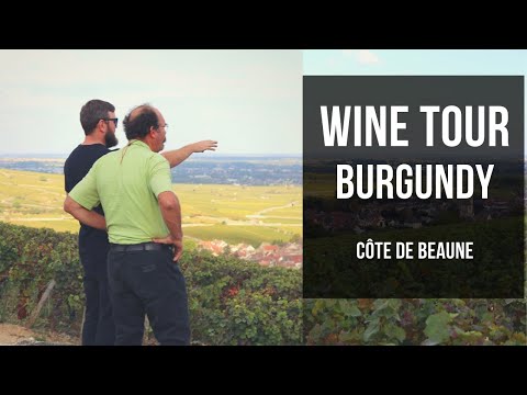 Burgundy Wine Tour - Travel through the vineyards of Côte de Beaune