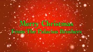 Winter Wonder Land - Palacios Bros and Family