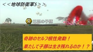【地球防衛軍5】レンジャー爆発武器縛りプレイ ～爆発こそ至高～ #20