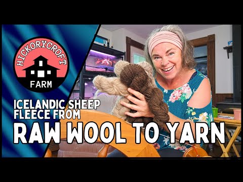 TOUR DE FLEECE: From Raw Wool to Yarn Turning Raw Fleece Into Finished Yarn Icelandic Sheep Wool