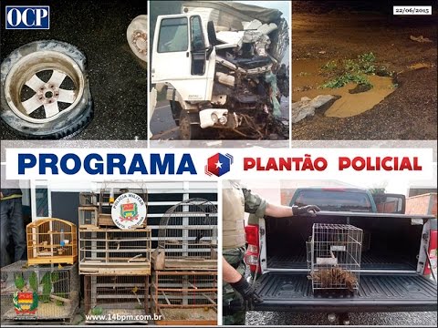 Plantão OCP 22/06/15 (Crime ambiental e perturbação)