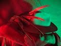 Freddy S Return A Nightmare Reborn 2009 Edition Full Movie