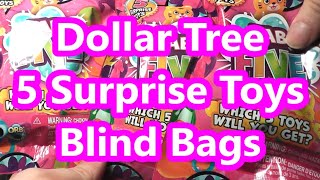 Pink Fab Five Dollar Tree 5 Surprise Toy Blind Bag Review