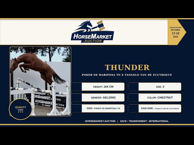 Thunder