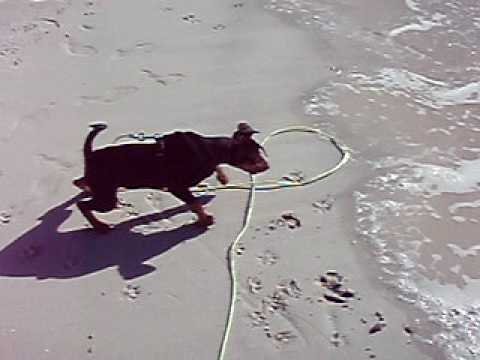 Nadira jager bølger ;)