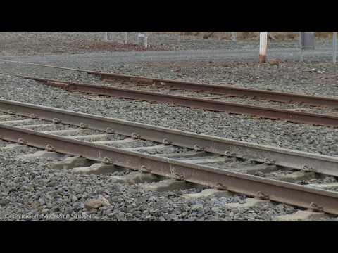 Mudhole At Gheringhap / 7902V Container Train (10/5/2019) - PoathTV Australian Railways