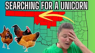 So Disappointed! Thats How It Goes In Farming or Any Business! Farm Life Vlog