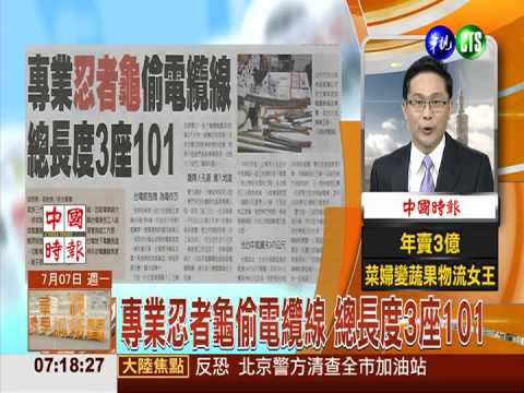 專業忍者龜偷電纜線 總長度3座101