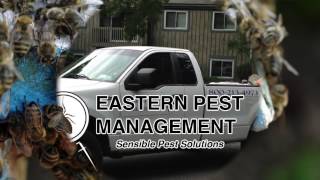 preview picture of video 'Pest control Wappingers Falls NY Eastern Pest Management pest control (800) 213-4973'