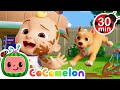 Best Of Bingo More Animals For Kids MORE CoComelon Nursery Rhymes Kids Songs