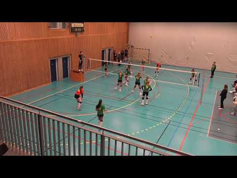 Internoppgjør 2. divisjon kvinner ( D2A - D2C, D2A - D2B)