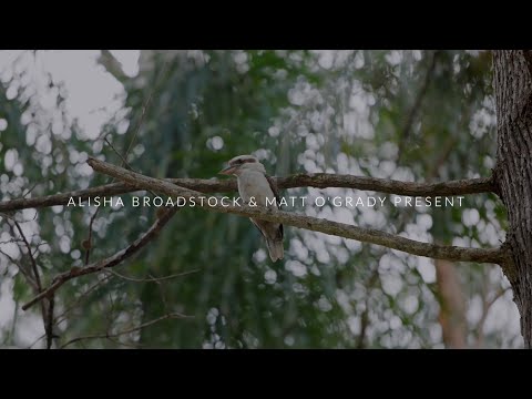 144 Connection Road, Glenview, QLD 4553, 4 ห้องนอน, 2 ห้องน้ำ, House