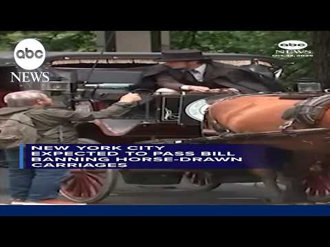 New York City expected to pass bill banning horse-drawn carriages