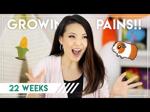 GROWING PAINS || Preggy Vlog Week 22 Video