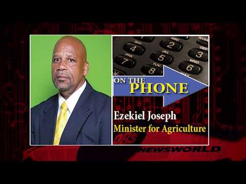 Winfresh  Undergoes Major Restructuring