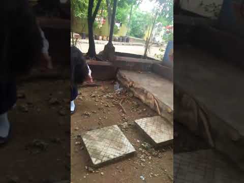 Happy Birthday Mary Claire😍☺🎉🎂