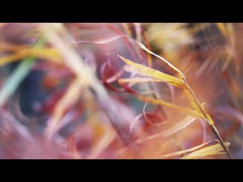 4Klang - Breathing Blue (teaser)