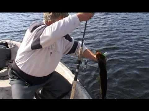 Ulovi Trofej - RIBOLOV U ŠVEDSKOJ