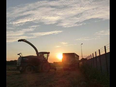 Insilato miscuglio 2016 | Claas Jaguar 970 | pure sound | Best sound !