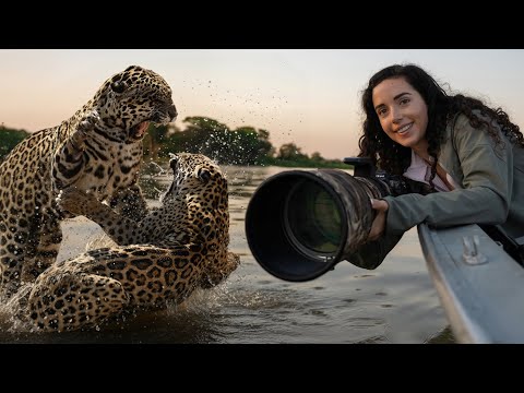 Safari in Brazil’s Wild Pantanal | Spotting Jaguars, Giant Anteaters & Tapirs