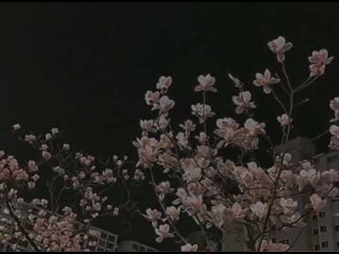 Moт ft Jony - Лилии ( slowed+ reverb)