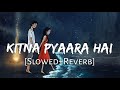 Kitna Pyaara Hai Ye Chehra Slowed Reverb Udit Narayan Alka Yagnik Raaz Lofi Music Channel